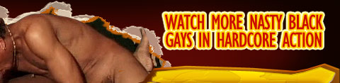 Watch More Nasty Black Gays in Hardcore Action